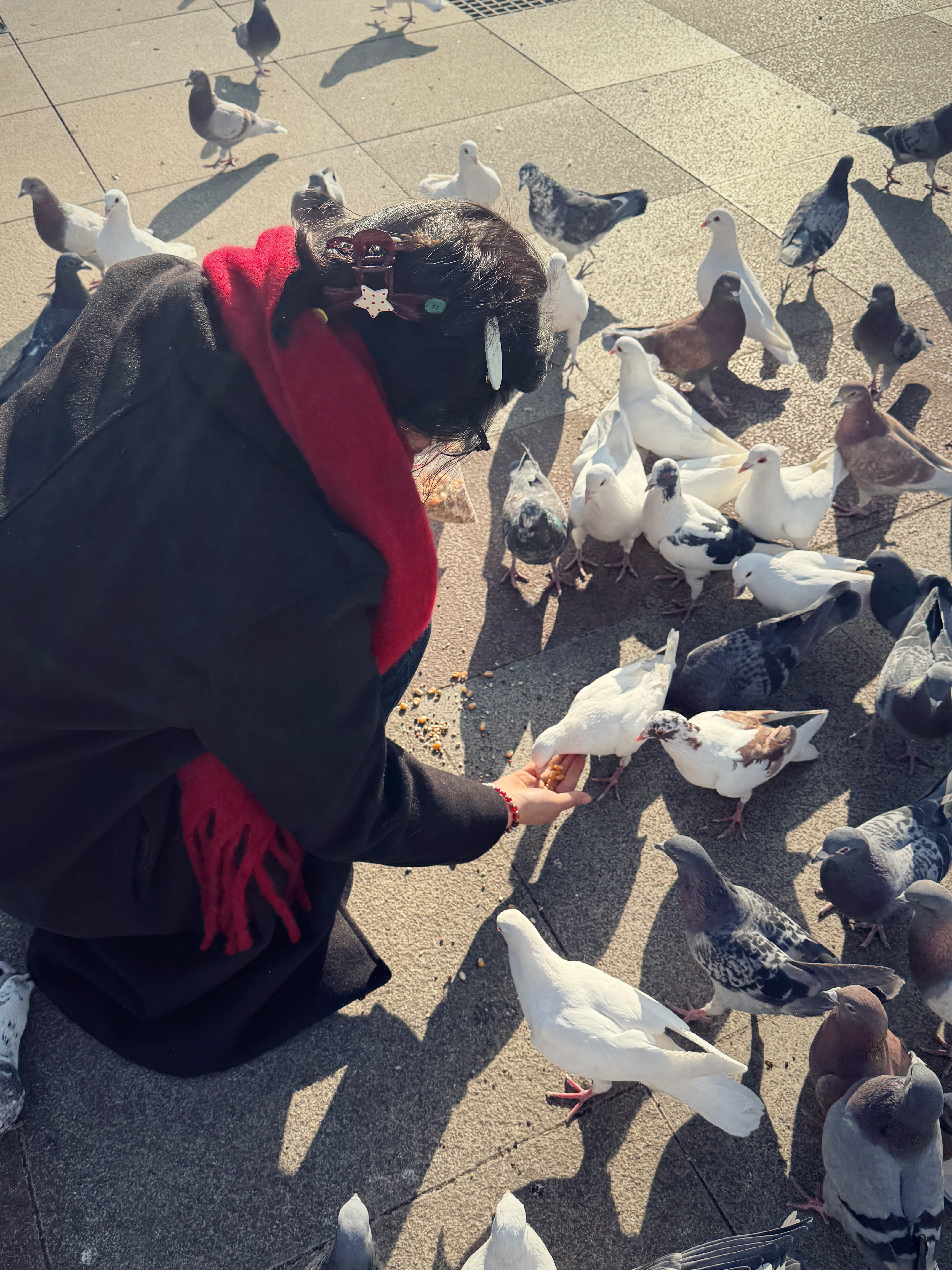 我们细碎的日子 由于不知道去哪里 路边看到的地方 玩了一下午 