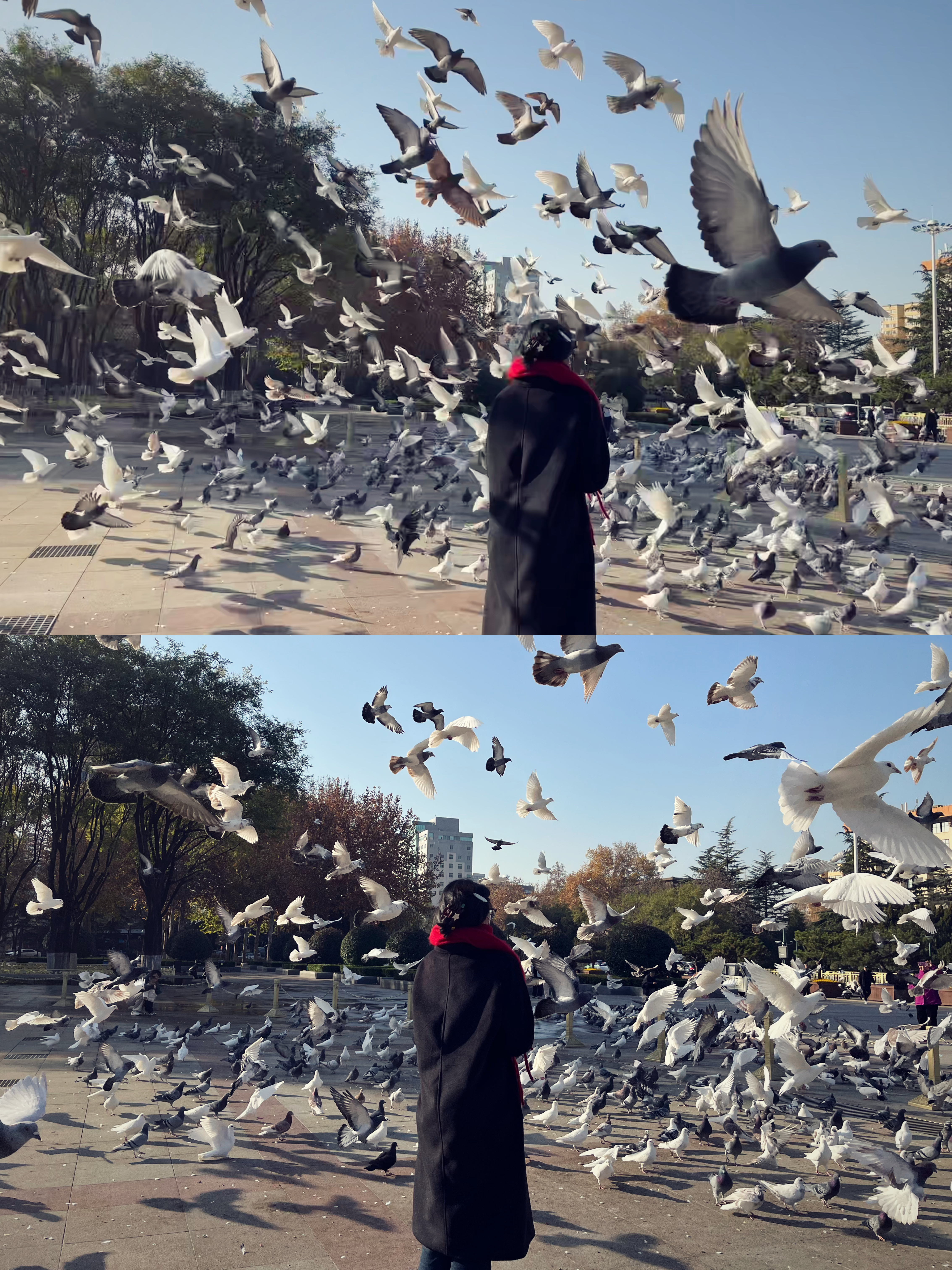 我们细碎的日子 由于不知道去哪里 路边看到的地方 玩了一下午 