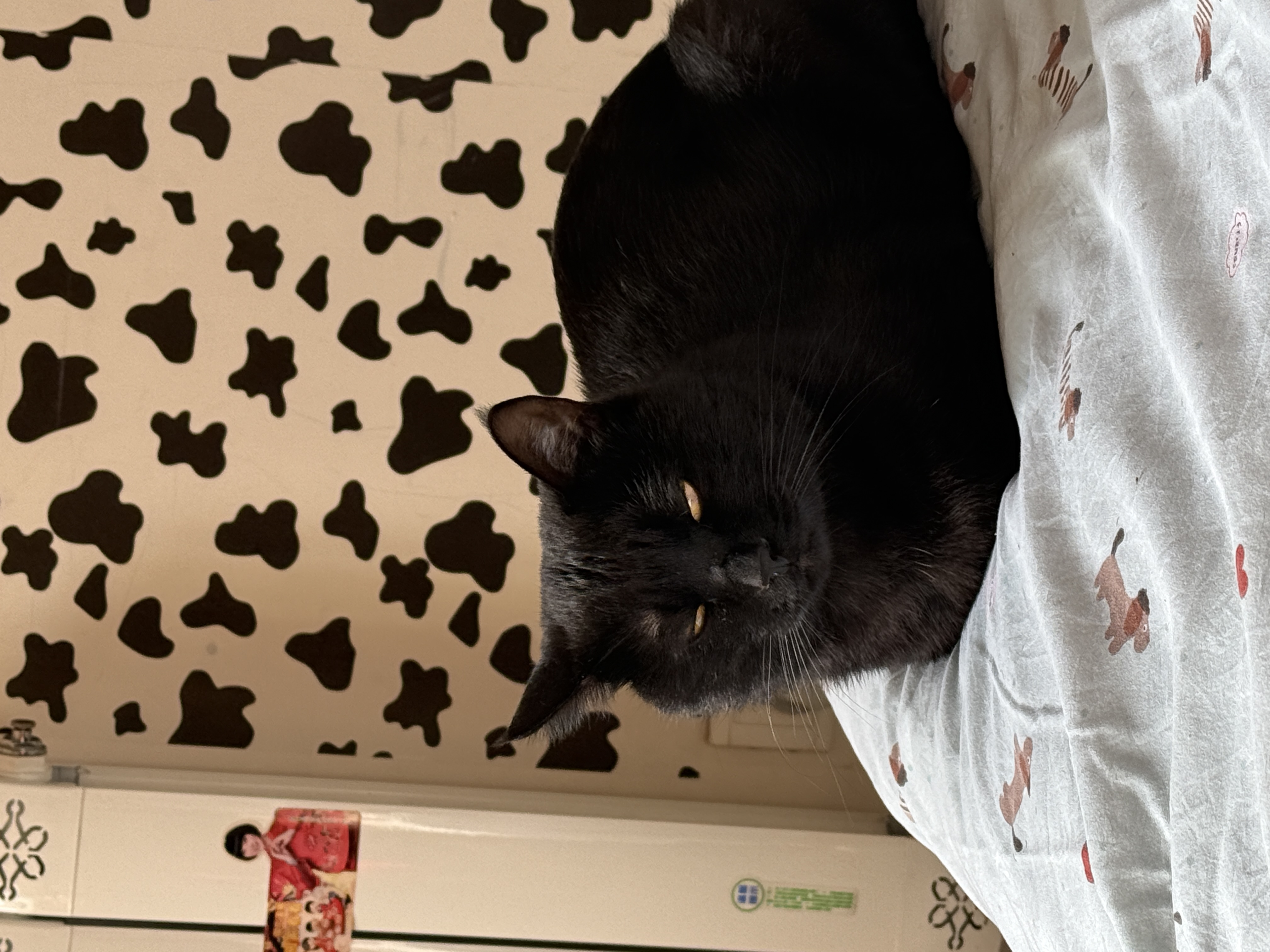 在普通的周末幸福具象化