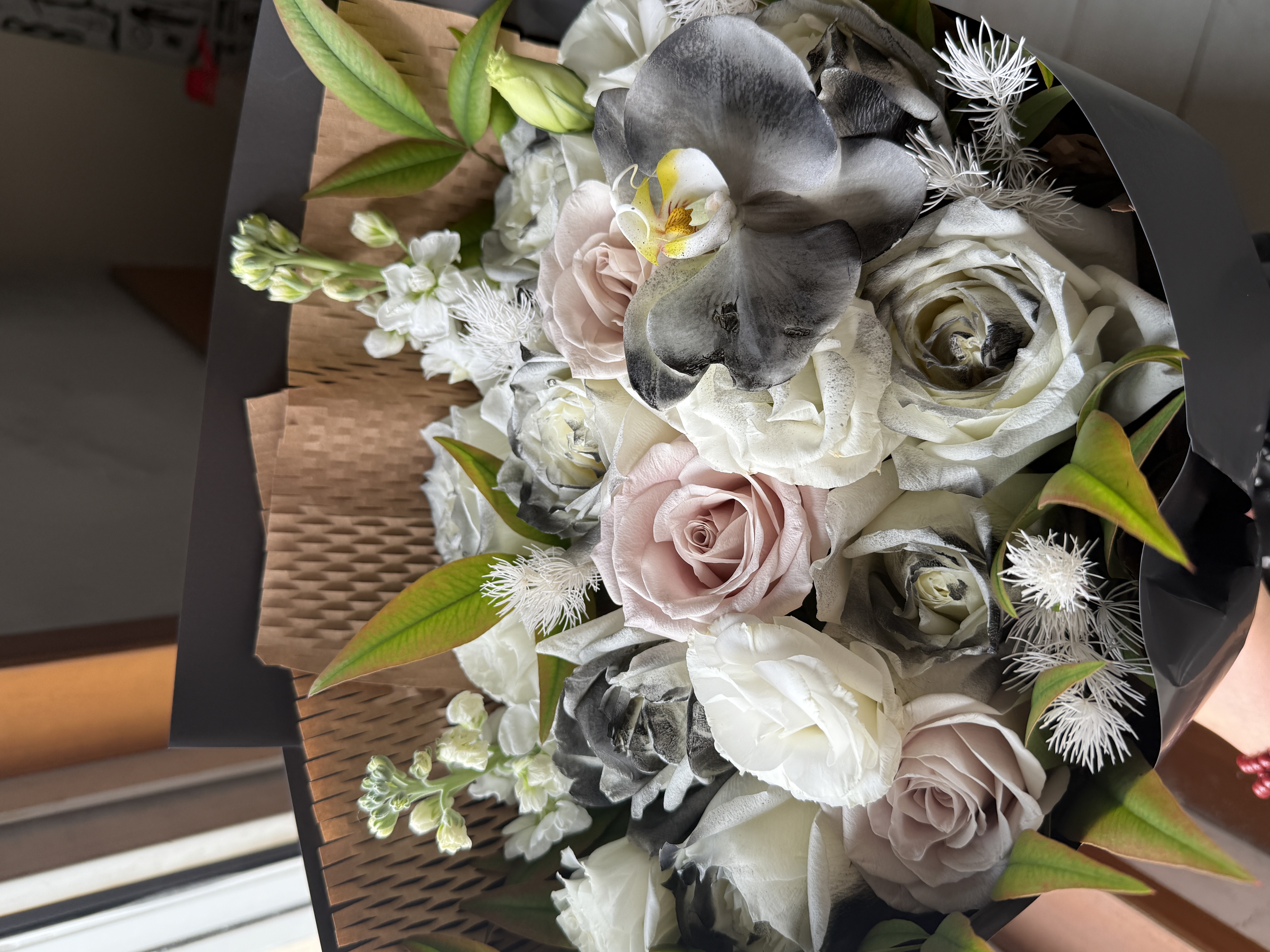 九九重阳 岁岁无恙 祝重重生日快乐