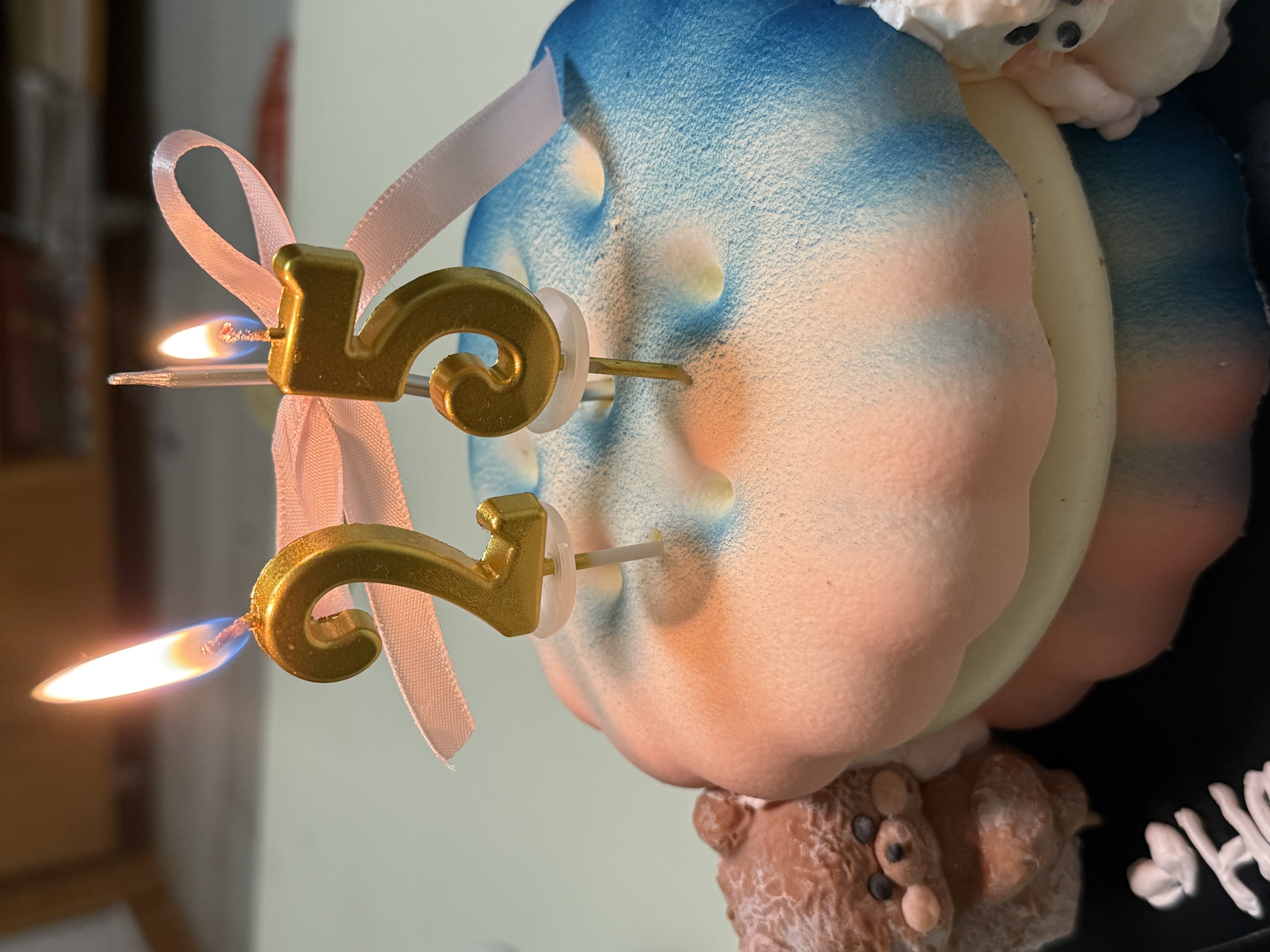 九九重阳 岁岁无恙 祝重重生日快乐