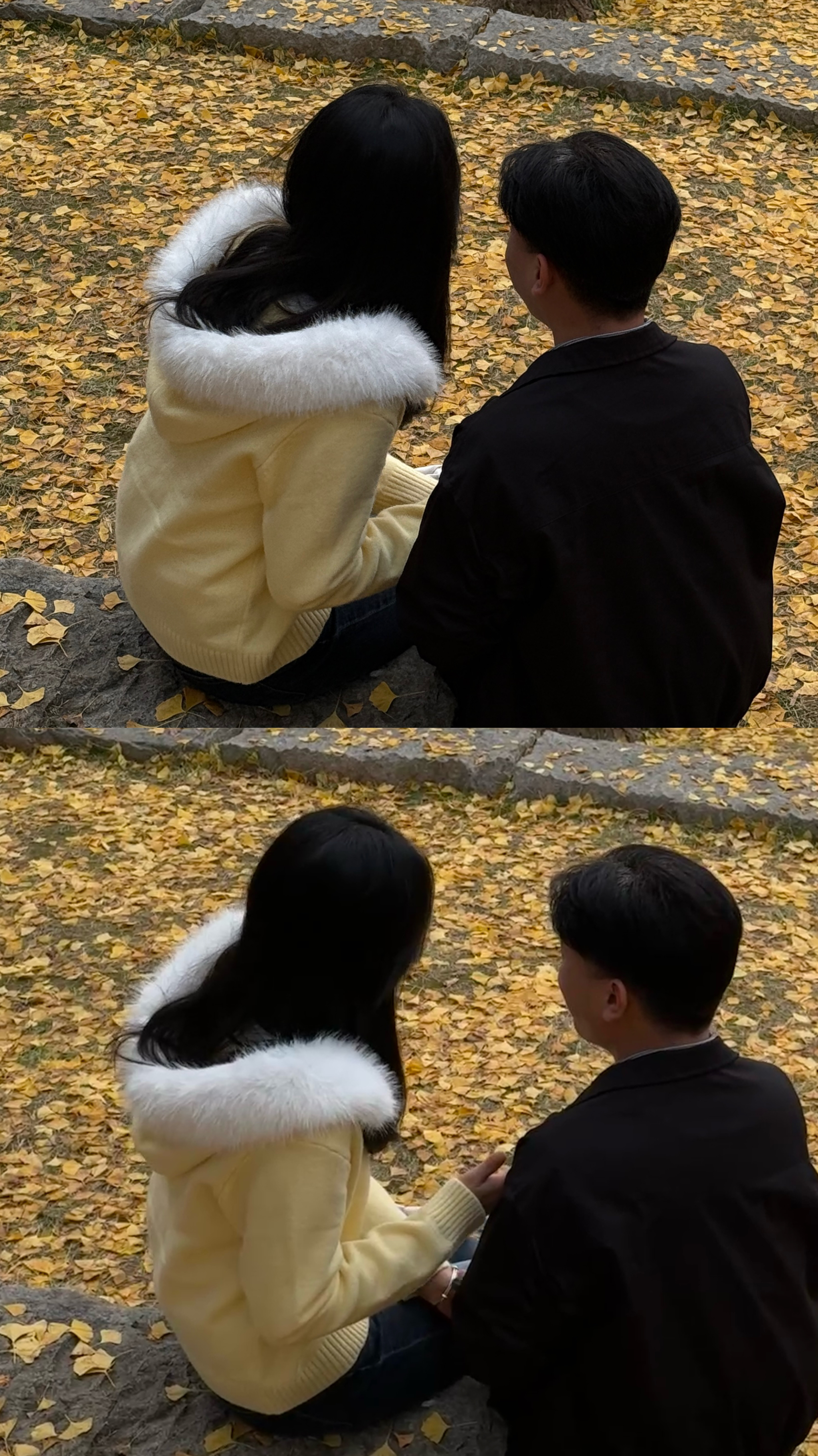 落叶铺成的毯，和身边的你，都是秋天送的暖