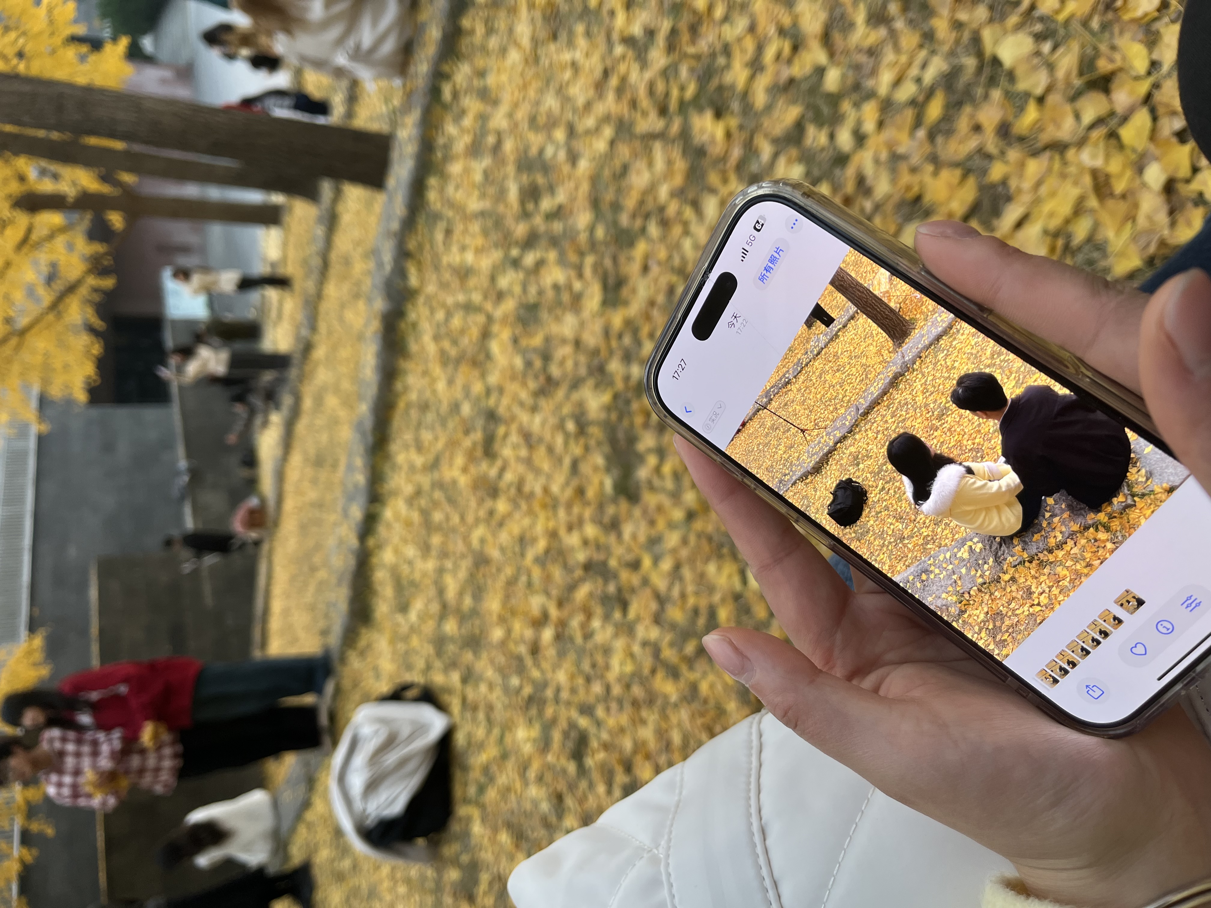 落叶铺成的毯，和身边的你，都是秋天送的暖